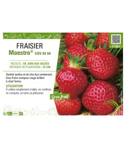 FRAISIER MAESTRO®
