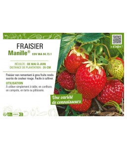 FRAISIER MANILLE®