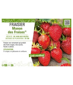 FRAISIER MANON DES FRAISES®