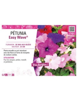 PÉTUNIA EASY WAVE®