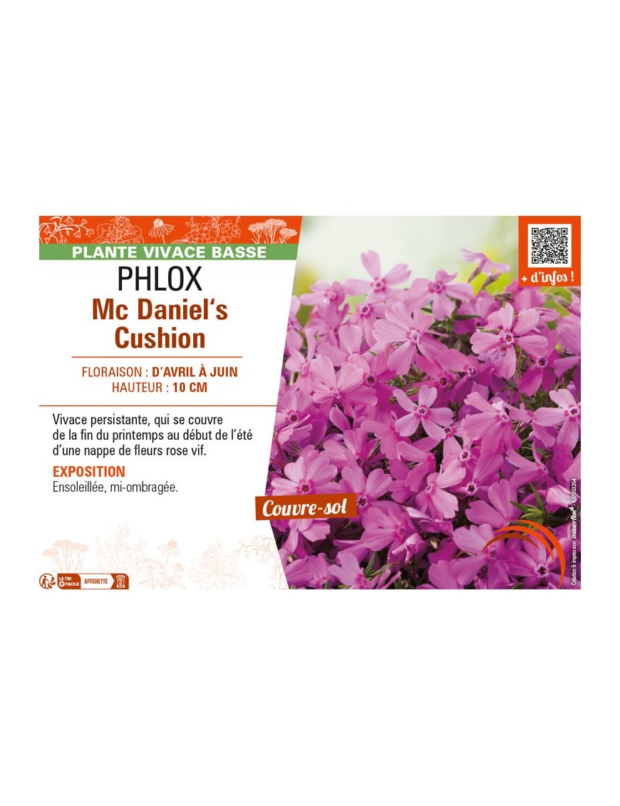 PHLOX MC DANIEL'S CUSHION