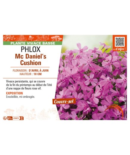PHLOX MC DANIEL'S CUSHION