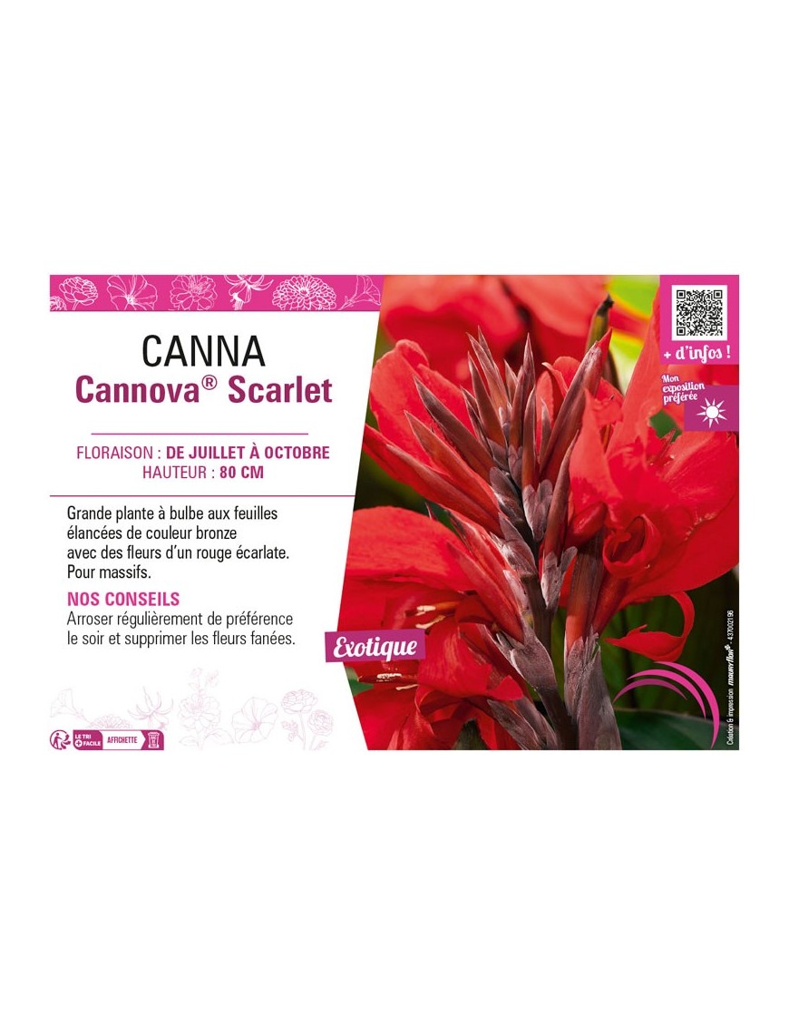 CANNA CANNOVA® SCARLET