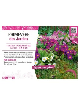 PRIMEVÈRE DES JARDINS