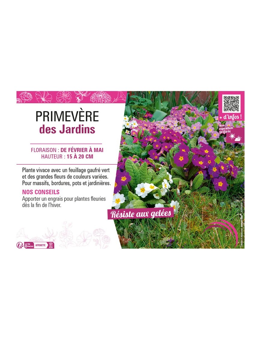 PRIMEVÈRE DES JARDINS