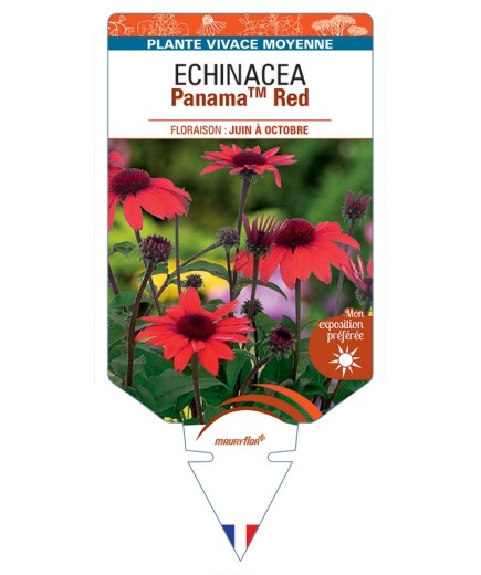 ECHINACEA PanamaTM Red
