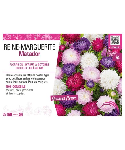 REINE-MARGUERITE MATADOR