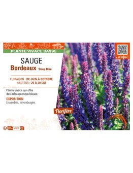 SAUGE Bordeaux Deep Blue
