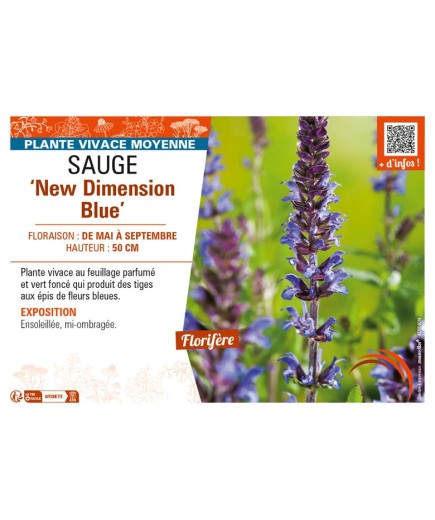 SAUGE New Dimension Blue