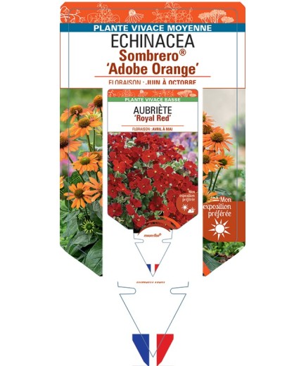 ECHINACEA Sombrero® Adobe Orange