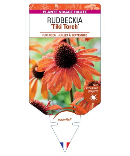 ECHINACEA Tiki Torch voir Rudbeckia