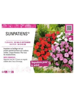 SUNPATIENS®
