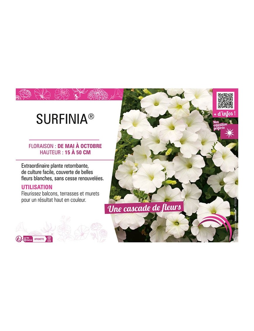 SURFINIA® (blanc)