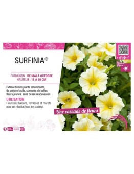 SURFINIA® (jaune)
