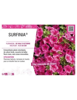SURFINIA® (rose)
