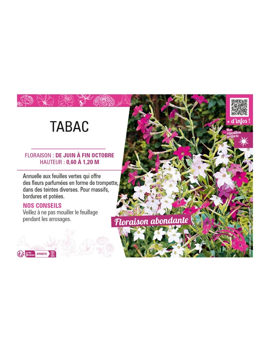 TABAC