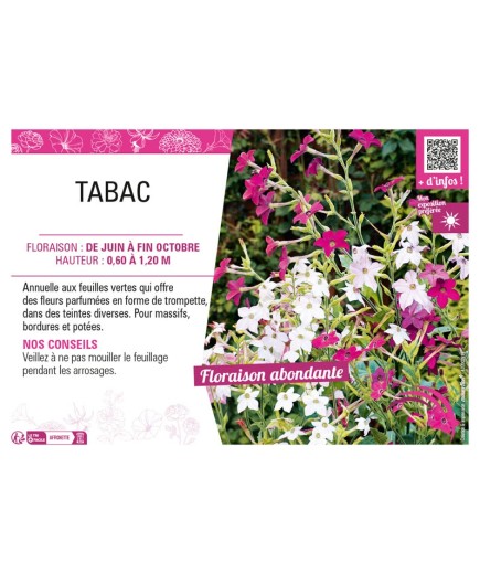 TABAC