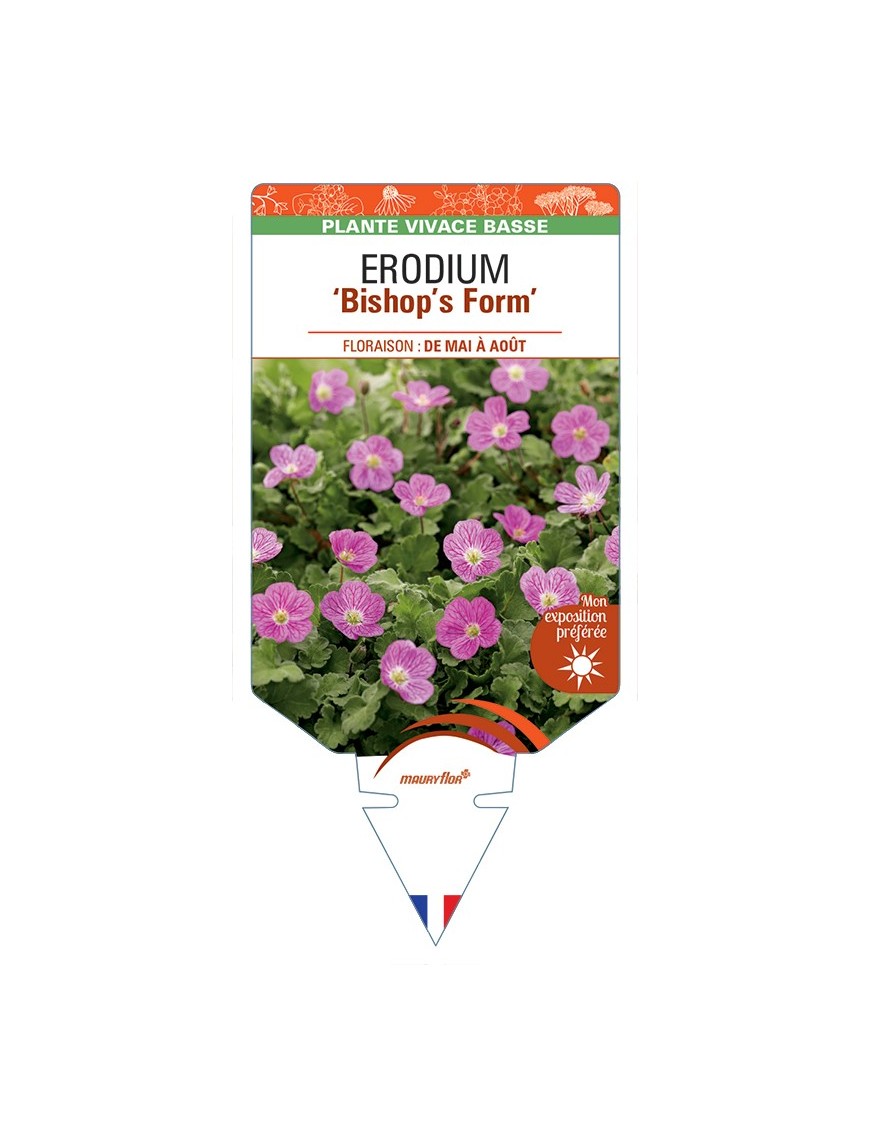 ERODIUM (x variabile) Bishops Form