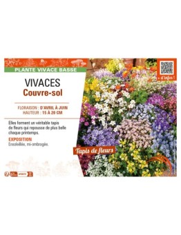 VIVACES COUVRE-SOL
