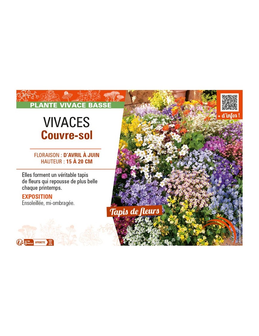 VIVACES COUVRE-SOL
