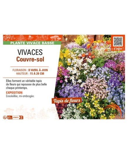 VIVACES COUVRE-SOL