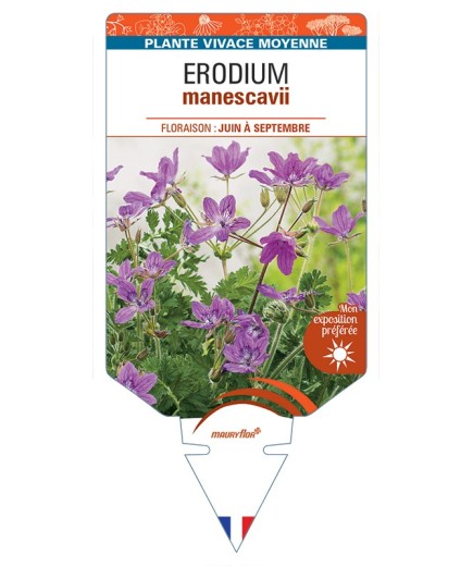 ERODIUM manescavii