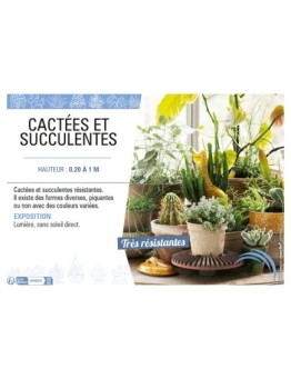 CACTÉES ET SUCCULENTES
