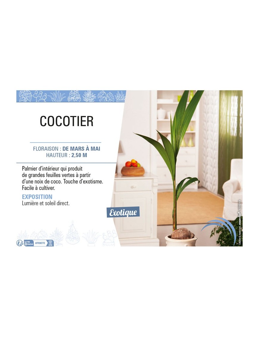 COCOTIER