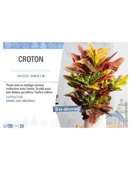 CROTON