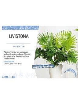 LIVISTONA
