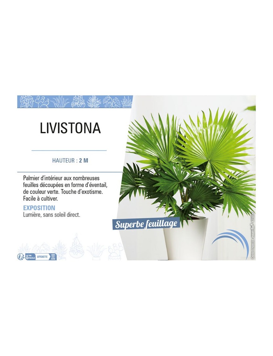 LIVISTONA