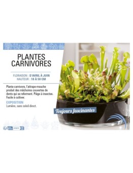 PLANTES CARNIVORES