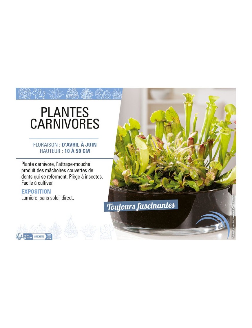 PLANTES CARNIVORES