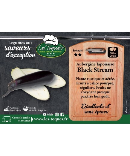 Aubergine Japonaise Black Stream
