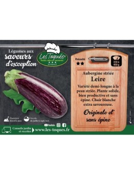 Aubergine striée Leire