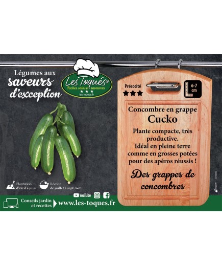 Concombre en grappe Cucko