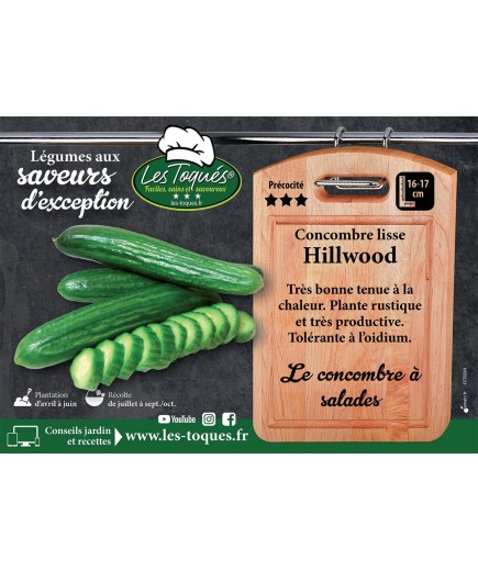 Concombre lisse Hillwood