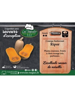Courge Butternut Ripor