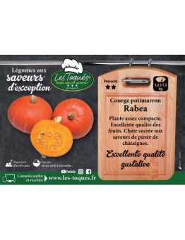 Courge potimarron Rabea