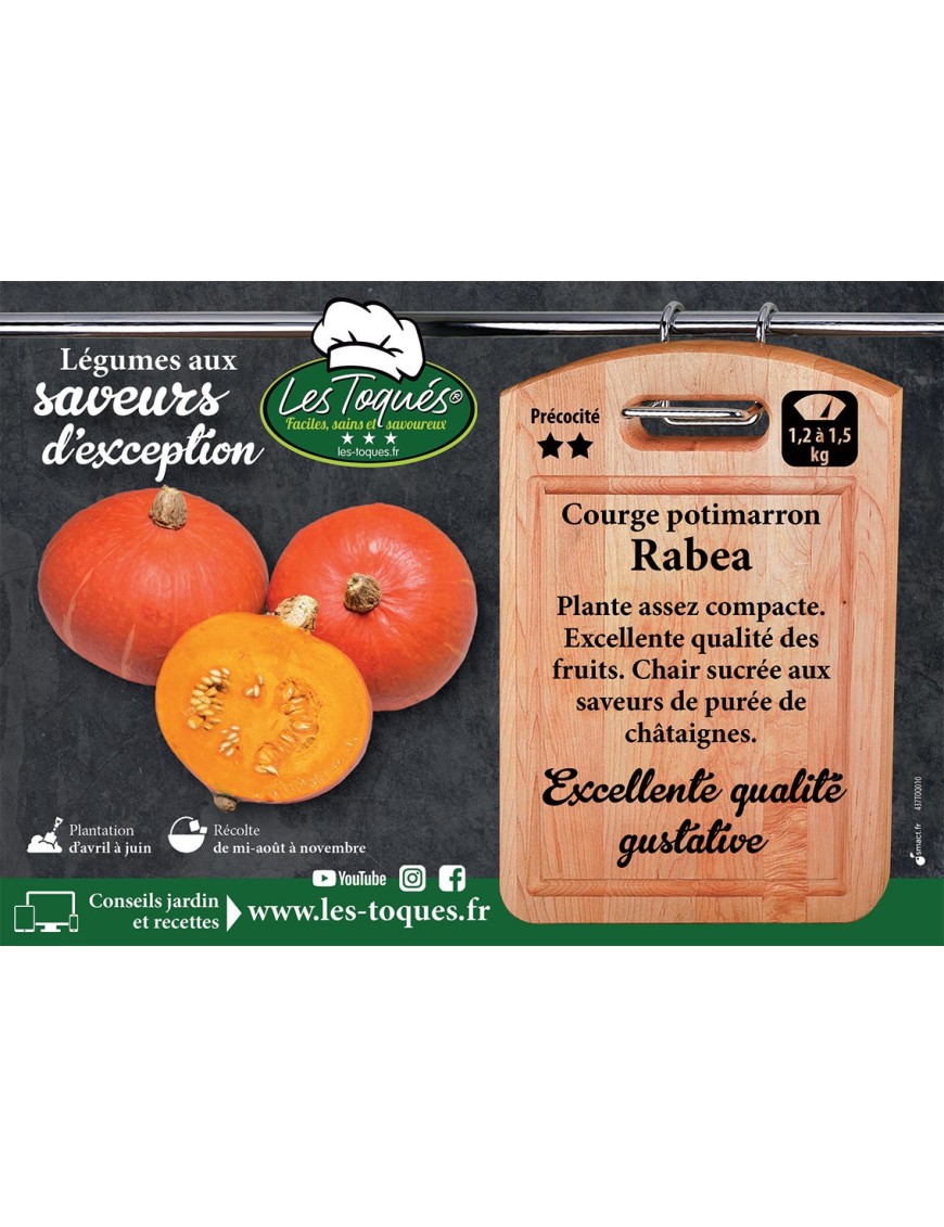 Courge potimarron Rabea