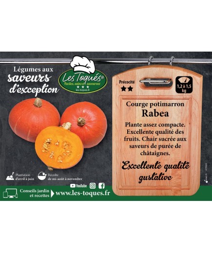 Courge potimarron Rabea