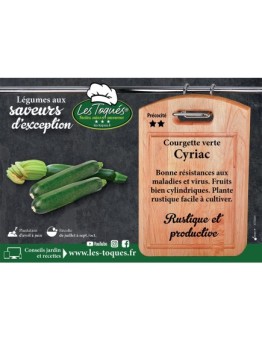 Courgette verte Cyriac