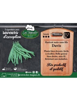Haricot nain sans fil Davis