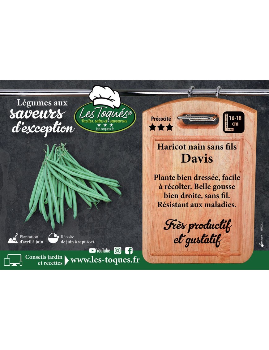 Haricot nain sans fil Davis