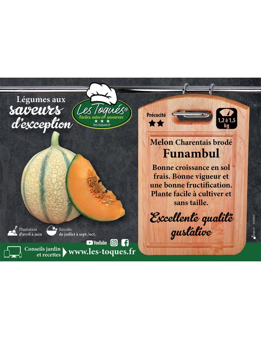 Melon Charentais brodé Funambul