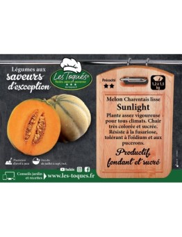 Melon Charentais lisse Sunlight