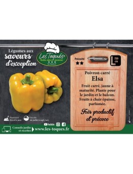 Poivron carré Elsa