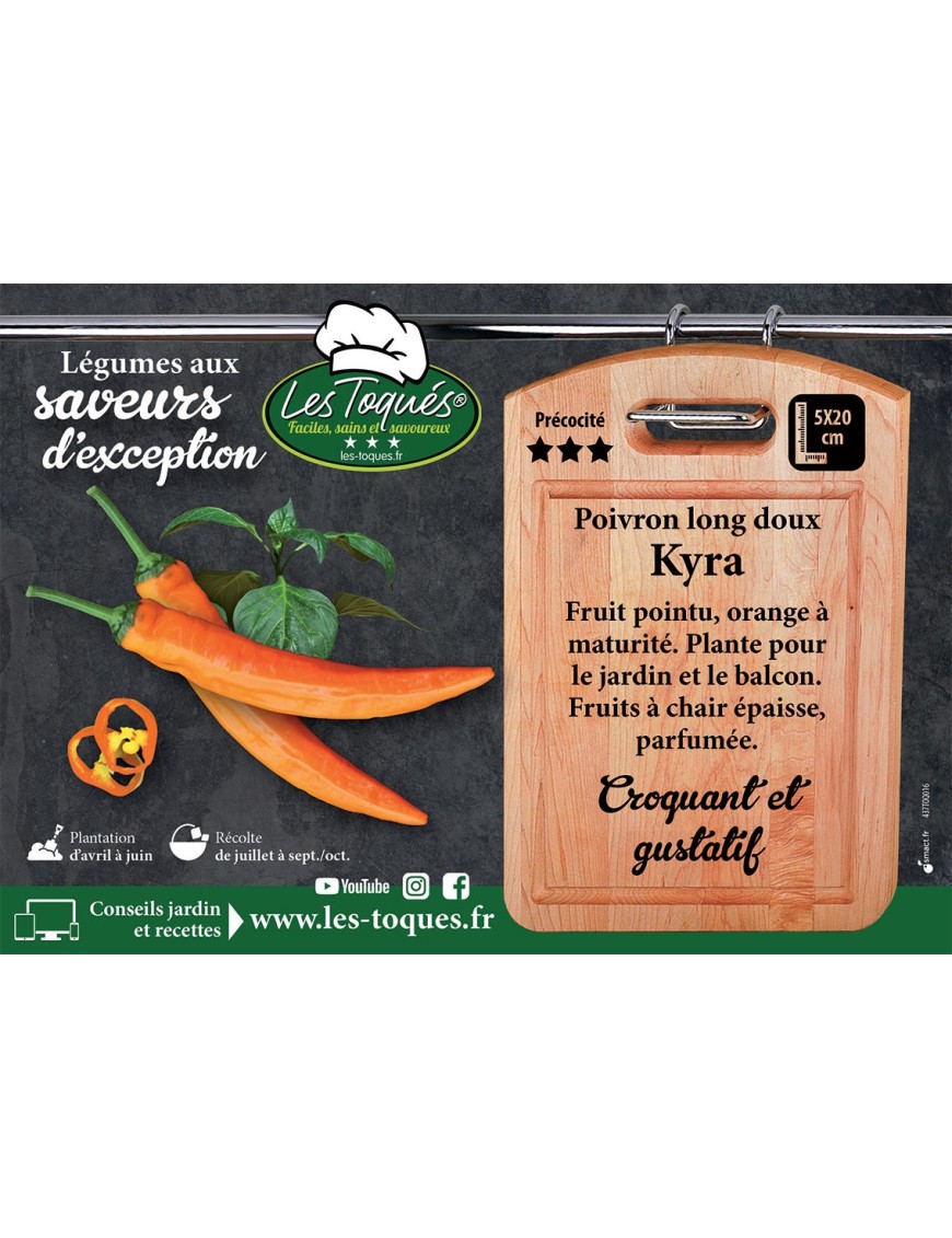 Poivron long doux Kyra