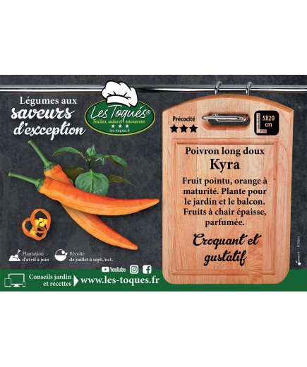 Poivron long doux Kyra