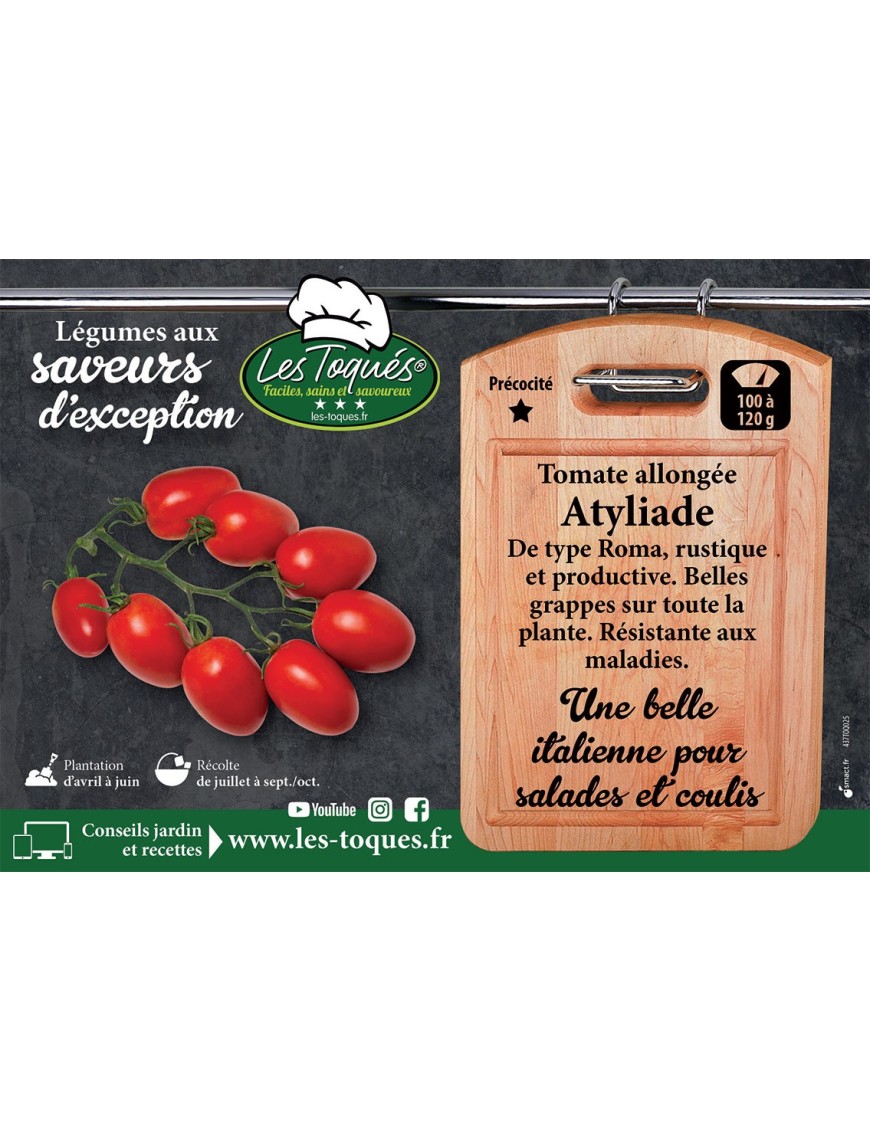 Tomate allongée Atyliade
